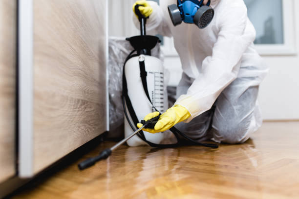 Best Wasp Removal Services  in Linden, TN
