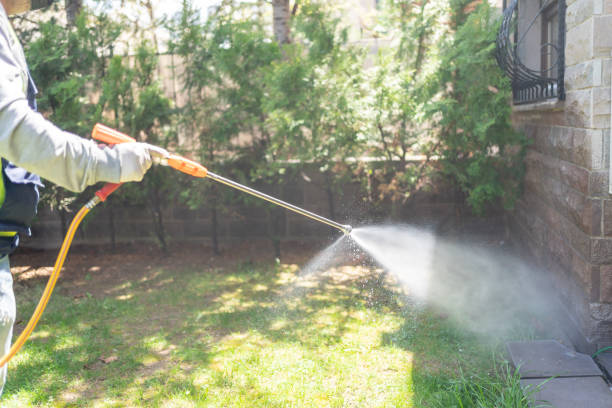 Best Pest Inspection Near Me  in Linden, TN