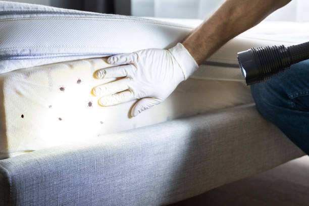 Best Flea Control Services  in Linden, TN