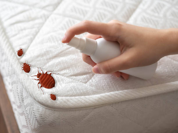 Best Pest Inspection Near Me  in Linden, TN