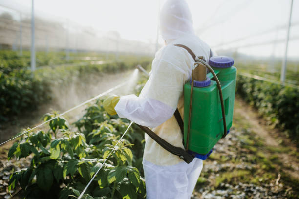 Best Emergency Pest Control  in Linden, TN